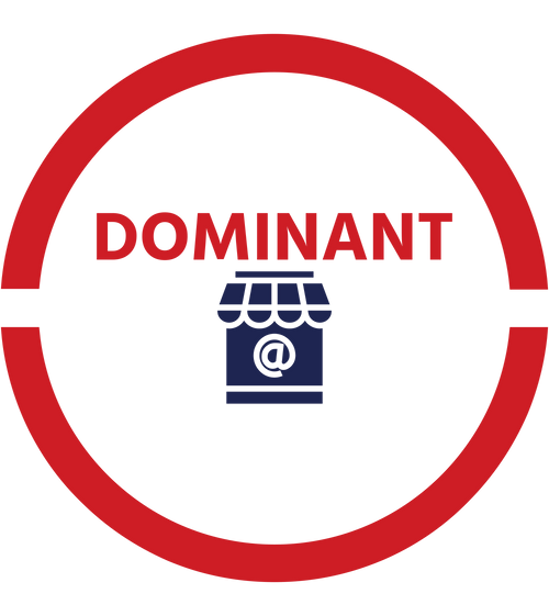 DOMINANT LLC FZ